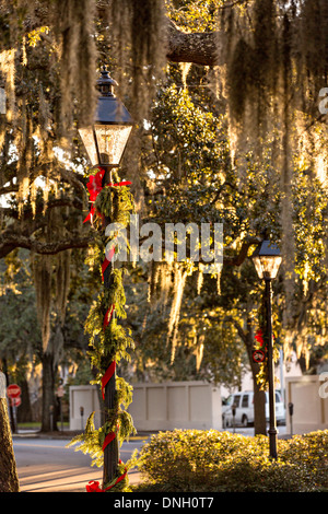 Weihnachts-Dekorationen auf Gaslampen in Orleans Square Savannah, Georgia. Stockfoto