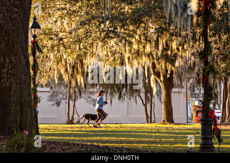 Weihnachts-Dekorationen auf Gaslampen in Orleans Square Savannah, Georgia. Stockfoto