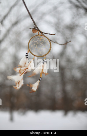 Einen indianischen Traumfänger von einem Ast hängen. Stockfoto