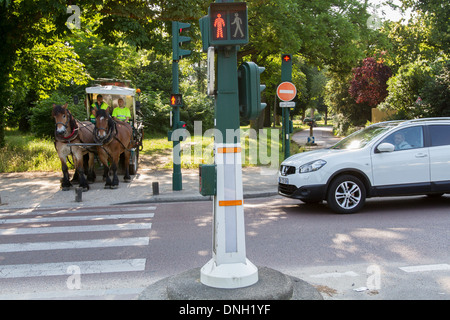 ENTWURF DES PFERDES IN DEN PARK BOIS DE VINCENNES FÜR WARTUNGSARBEITEN, 12. ARRONDISSEMENT, PARIS (75), FRANKREICH Stockfoto