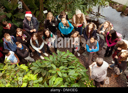 Deutsche Schülerinnen und Schüler auf einem Schulausflug, Blick auf eine Cocoa bush, die Lindt-Schokolade-Museum, Köln, (Köln), Deutschland, Europa Stockfoto