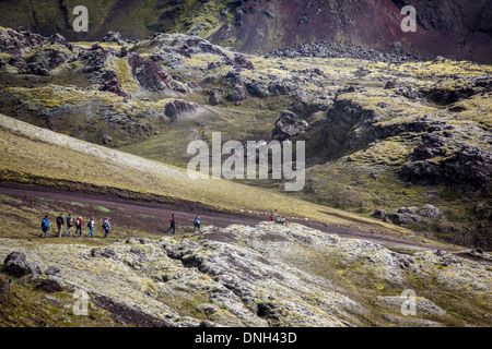 WANDERN IN LANDMANNALAUGAR, VULKANISCH UND GEOTHERMAL ZONE VON DENEN DER NAME BEDEUTET WÖRTLICH "HEIßE BÄDER DER MENSCHEN DES LANDES", REGION DES HOCHPLATEAUS, SOUTHERN ISLAND, EUROPA Stockfoto