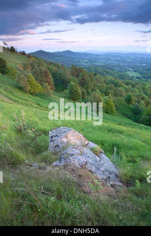 Ein Fels ragt durch die wilden Blumen und Gräser auf der Seite der Worcestershire Beacon auf die Malvern Hills Stockfoto