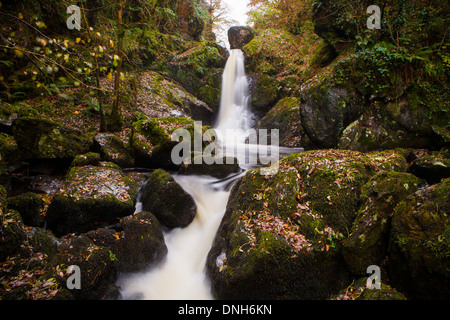 Wasserfall und Stream im Herbst mit Blättern auf Felsen. Stockfoto