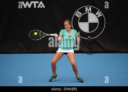 Auckland, Neuseeland. 30. Dezember 2013. Irina Falconi (USA) in Aktion am Tag1 an die ASB Tennis Classic Women International. ASB Tennis Centre, Auckland, Neuseeland. Bildnachweis: Aktion Plus Sport/Alamy Live-Nachrichten Stockfoto