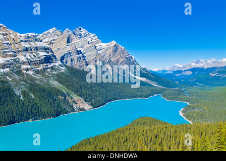 Peyto See ein von Gletschern gespeister See im Banff National Park im kanadischen Rockies Icefields Parkway Alberta Canada North America Stockfoto