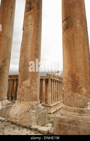 TEMPEL, BACCHUS IN BAALBECK, BEKKA TAL, LIBANON, NAHER OSTEN Stockfoto