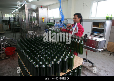 KELLER DES CHATEAU MUSAR IN BEIRUT, LIBANON, NAHER OSTEN Stockfoto