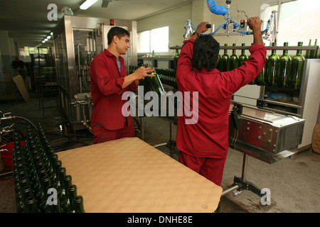 KELLER DES CHATEAU MUSAR IN BEIRUT, ABFÜLL-LINIE, LIBANON, NAHER OSTEN Stockfoto