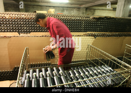 KELLER DES CHATEAU MUSAR IN FLASCHENLAGERUNG, BEIRUT, LIBANON, NAHER OSTEN Stockfoto