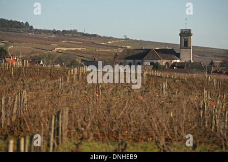 WEINBERG VOR POMMARD, (21) COTE-D ' OR, BURGUND, FRANKREICH Stockfoto