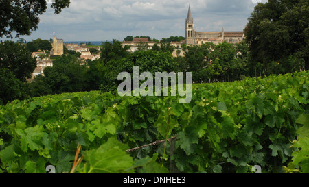 WEINBERG UND DORF SAINT-EMILION, SAINT-EMILION (33) GIRONDE, AQUITAINE, FRANKREICH Stockfoto