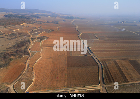 BEREICH DER MONTRACHET, COTE D ' OR (21), BOURGOGNE, FRANKREICH Stockfoto