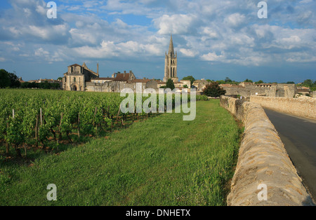 DORF UND WEINBERGE VON SAINT-EMILION UND DIE MONOLITHISCHE KIRCHE AUS DEM 12. JAHRHUNDERT, SAINT EMILION, (33) GIRONDE, AQUITAINE, FRANKREICH Stockfoto