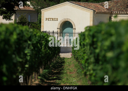 PETRUS WEINBERGE, WEINBAUGEBIET VON BORDEAUX, POMEROL, (33) GIRONDE, AQUITAINE, FRANKREICH Stockfoto