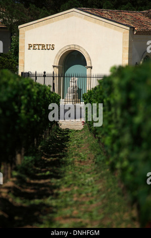 PETRUS WEINBERGE, WEINBAUGEBIET VON BORDEAUX, POMEROL, (33) GIRONDE, AQUITAINE, FRANKREICH Stockfoto