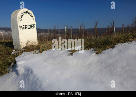 MARKER FÜR DEN CHAMPAGNER MERCIER IN HAUTVILLERS, MARNE (51), CHAMPAGNE-ARDENNE, FRANKREICH Stockfoto