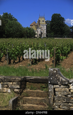 ANDRE CORTON CHATEAU IN ALOXE-CORTON, (21) COTE-D ' OR, BOURGOGNE, FRANKREICH Stockfoto