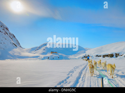 Hundeschlitten auf eine winterliche Landschaft, arktischen Nordpol, Grönland Stockfoto