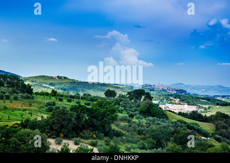 Bäume und Pflanzen auf eine Landschaft, Volterra, Provinz Pisa, Toskana, Italien Stockfoto
