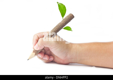 Holz Bleistift In der Hand des Mannes, Isolated On White Background. Stockfoto