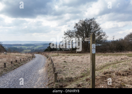 Winter-Surrey Landschaft: Fußweg mit hölzernen öffentlichen Byway Wegweiser und Wanderer, Newlands Ecke in der Nähe von Guildford, UK Stockfoto