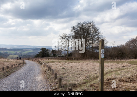 Winter-Surrey Landschaft Panorama: Fußweg mit hölzernen öffentlichen Byway Wegweiser und Wanderer, Newlands Ecke in der Nähe von Guildford, UK Stockfoto