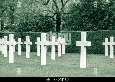 Amerikanischen Friedhof Flanders Field Belgien Waregem Stockfoto