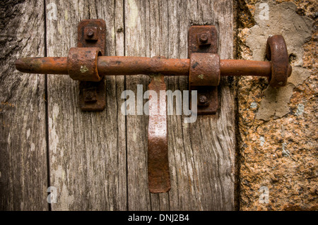 Rostige Schraube auf eine Holztür. Stockfoto