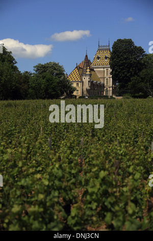 ANDRE CORTON CHATEAU IN ALOXE-CORTON, (21) COTE-D ' OR, BOURGOGNE, FRANKREICH Stockfoto