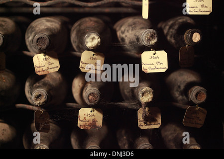 ALTE WEINE IM JADOT WEIN KELLER, BEAUNE CLOS DES COUCHEXEAUX 1904, COTE-D ' OR (21), BOURGOGNE, FRANKREICH Stockfoto