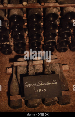 ALTE WEINE IM JADOT WEIN KELLER, GEVREY CHAMBERTIN 1970, COTE-D ' OR (21), BOURGOGNE, FRANKREICH Stockfoto