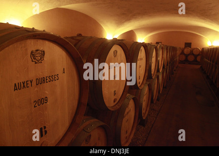 ALTERN KELLER FÜR DIE WEINE DES MAISON LOUIS JADOT, COTE D ' OR (21), BOURGOGNE, FRANKREICH Stockfoto