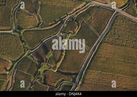 WEINBERGE ZWISCHEN POMMARD UND BEAUNE, COTE D ' OR (21), BOURGOGNE, FRANKREICH Stockfoto