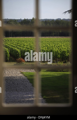 BLICK AUF DIE WEINBERGE VON CHÂTEAU FOMBRAUGE, SAINT-EMILION GRAND CRU, SAINT-EMILION, (33) GIRONDE, AQUITAINE, FRANKREICH Stockfoto