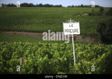 WEINBERGE VON CHÂTEAU LE PRIEURE, SAINT-EMILION (33) GIRONDE, AQUITAINE, FRANKREICH Stockfoto