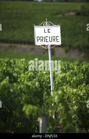 WEINBERGE VON CHÂTEAU LE PRIEURE, SAINT-EMILION (33) GIRONDE, AQUITAINE, FRANKREICH Stockfoto