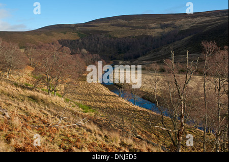 Der Fluß Fiddich als es schlängelt sich nach unten in Richtung Dufftown und Moray Firth.  SCO 9173. Stockfoto