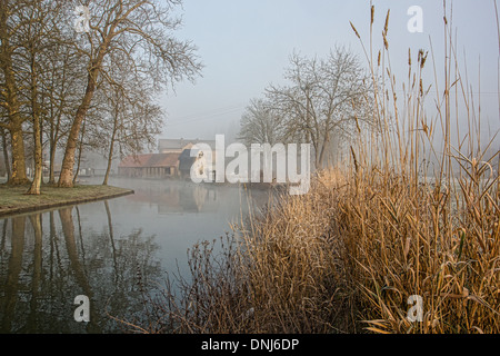 DIE RISLE-FLUSS IN DER FRÜHEN MORGEN NEBEL, RUGLES, EURE (27), FRANKREICH Stockfoto