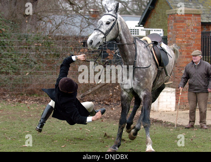 Ein Mitglied der Chiddingfold , Leconfield und Cowdray Hunt wird von seinem Pferd geflogen, bevor sie auf die Jagd gehen - nur für redaktionelle Zwecke Stockfoto