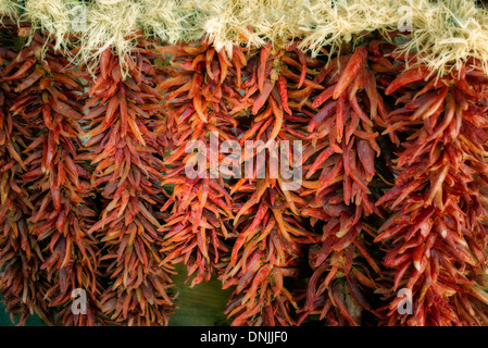 Rote Chilischoten auf Zeichenfolge. Santa Fe, New Mexico Stockfoto