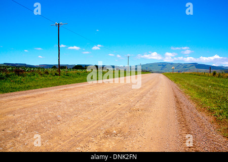ländliche unbefestigte Straße flankiert von Maisfeldern Stockfoto