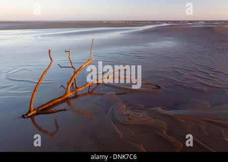 Sunrise, Donna Nook National Nature Reserve, Lincolnshile, England, Großbritannien, Europa Stockfoto