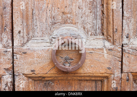 Dekorative Löwenkopf Bronze Knopf Türgriff Stockfoto