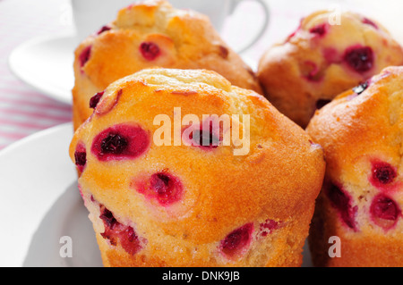 Nahaufnahme von einige Johannisbeer-Muffins auf einem gedeckten Tisch Stockfoto