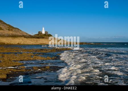 Murmelt, dass Leuchtturm von Armband Bay angesehen Stockfoto