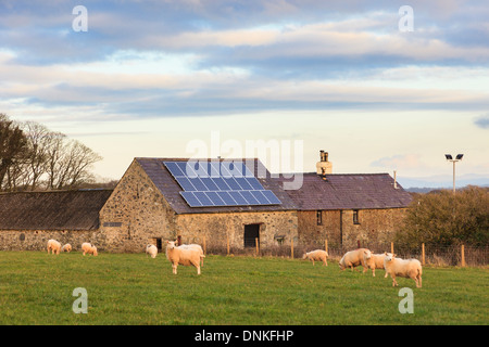 Sonnenkollektoren auf dem Dach einer alten Scheune auf einem ländlichen walisischen Schaffarm in Anglesey, North Wales, UK, Großbritannien Stockfoto