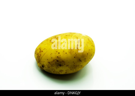 Maris Piper Kartoffel Essen ungeschält roh ausgeschnittenen weißen Hintergrund Textfreiraum Stockfoto