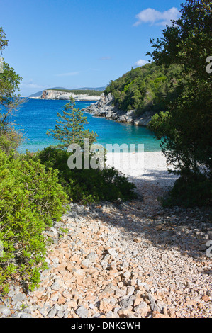 Von Bäumen gesäumten Dafnoudi Beach in der Nähe von Fiskardo, Cefalonia, Griechenland Stockfoto