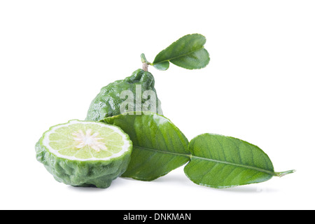 Frische Kaffernlimette mit Blatt isoliert auf weißem Hintergrund Stockfoto